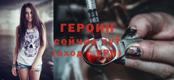 индика Архангельск